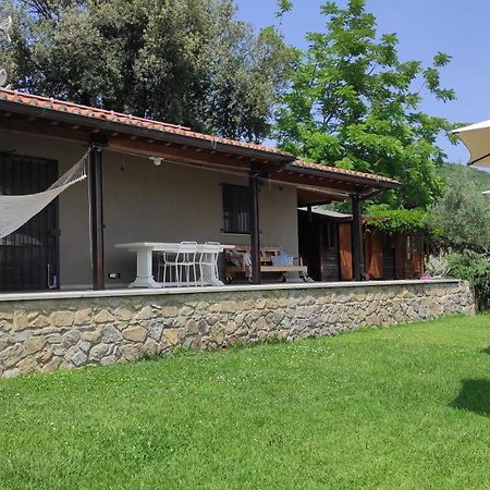 B&B La Casina Di Iris 아레초 외부 사진