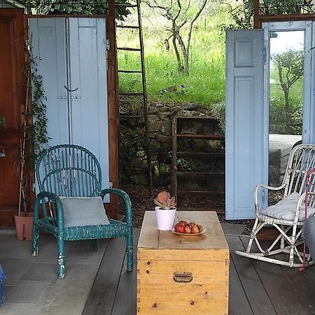 B&B La Casina Di Iris 아레초 외부 사진