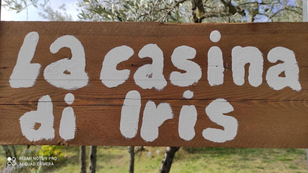 B&B La Casina Di Iris 아레초 외부 사진