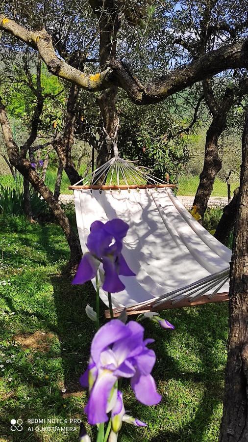 B&B La Casina Di Iris 아레초 외부 사진