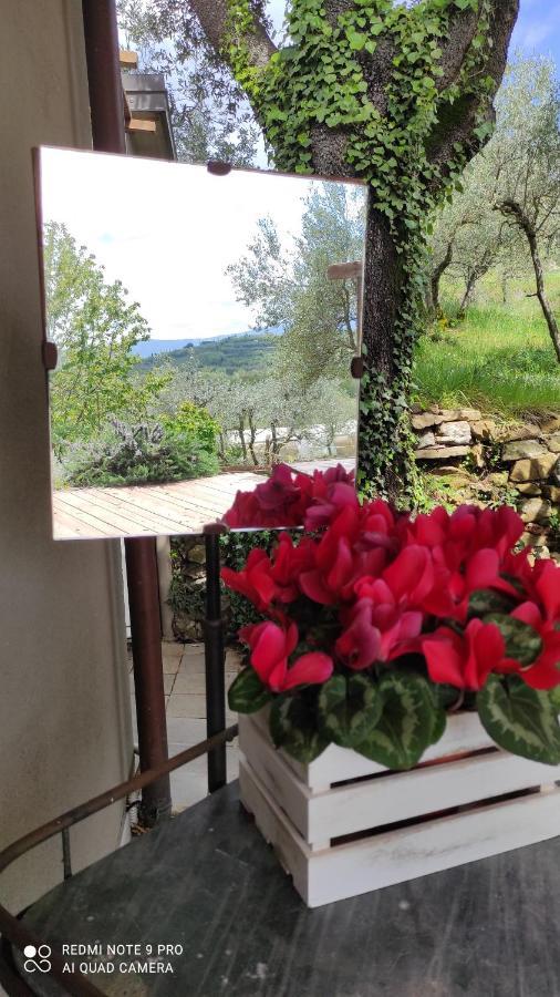 B&B La Casina Di Iris 아레초 외부 사진