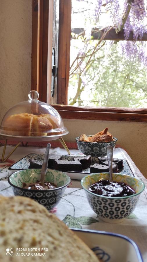 B&B La Casina Di Iris 아레초 외부 사진