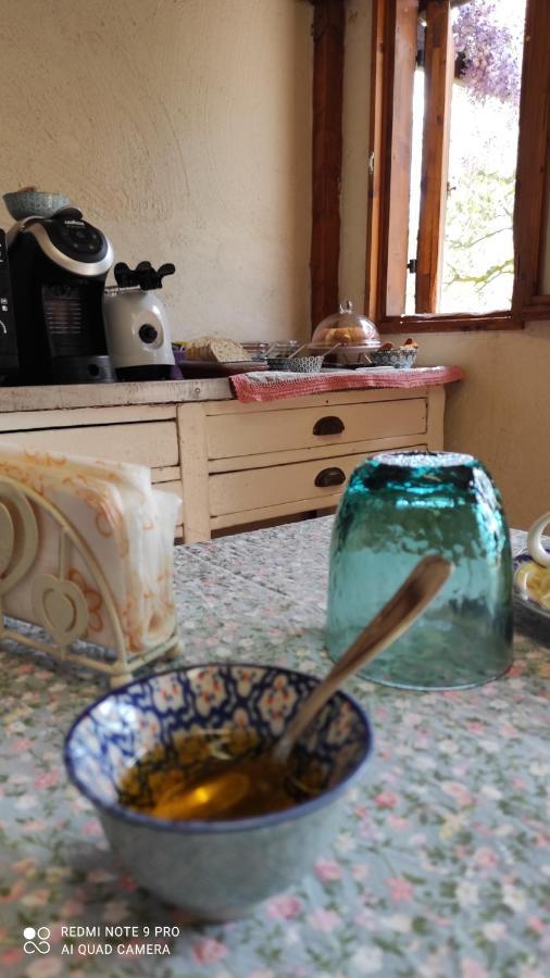 B&B La Casina Di Iris 아레초 외부 사진