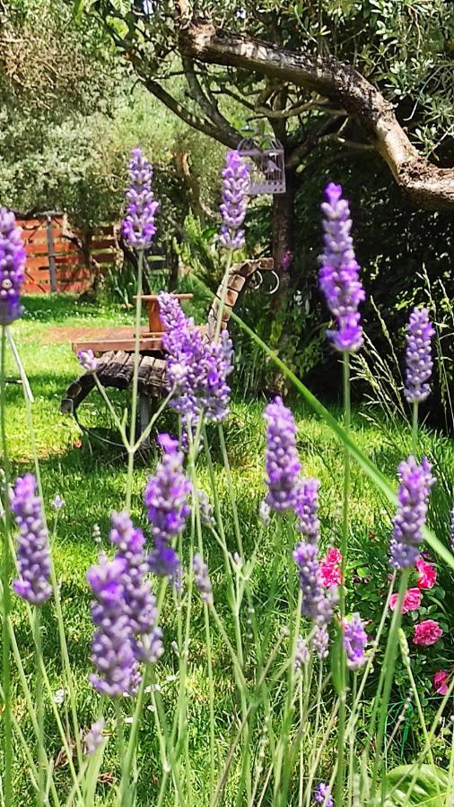 B&B La Casina Di Iris 아레초 외부 사진
