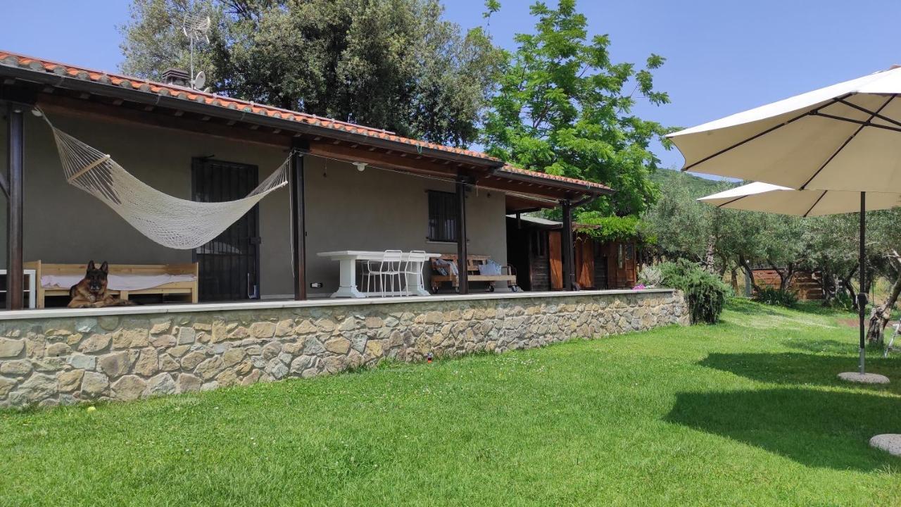 B&B La Casina Di Iris 아레초 외부 사진