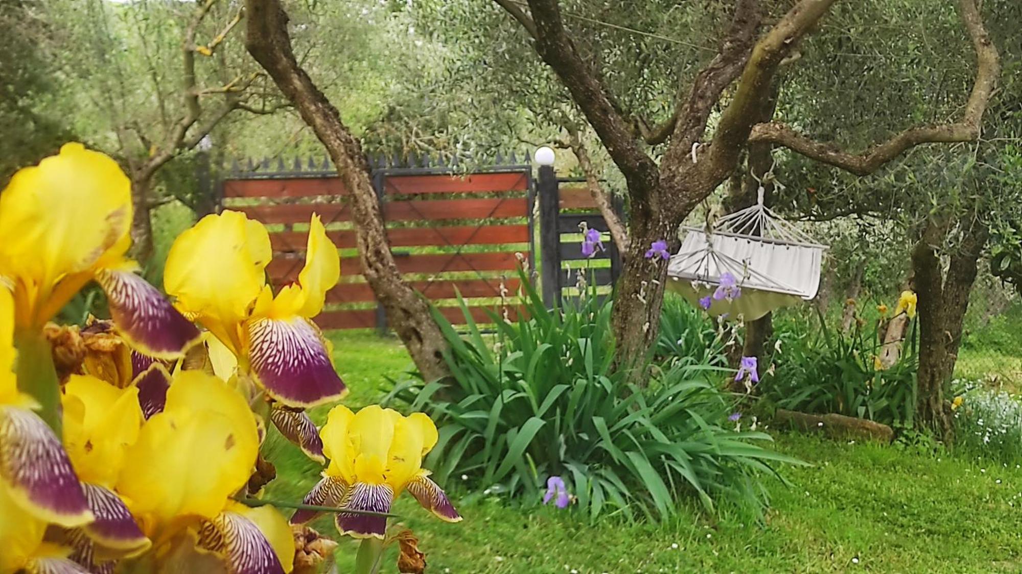 B&B La Casina Di Iris 아레초 외부 사진