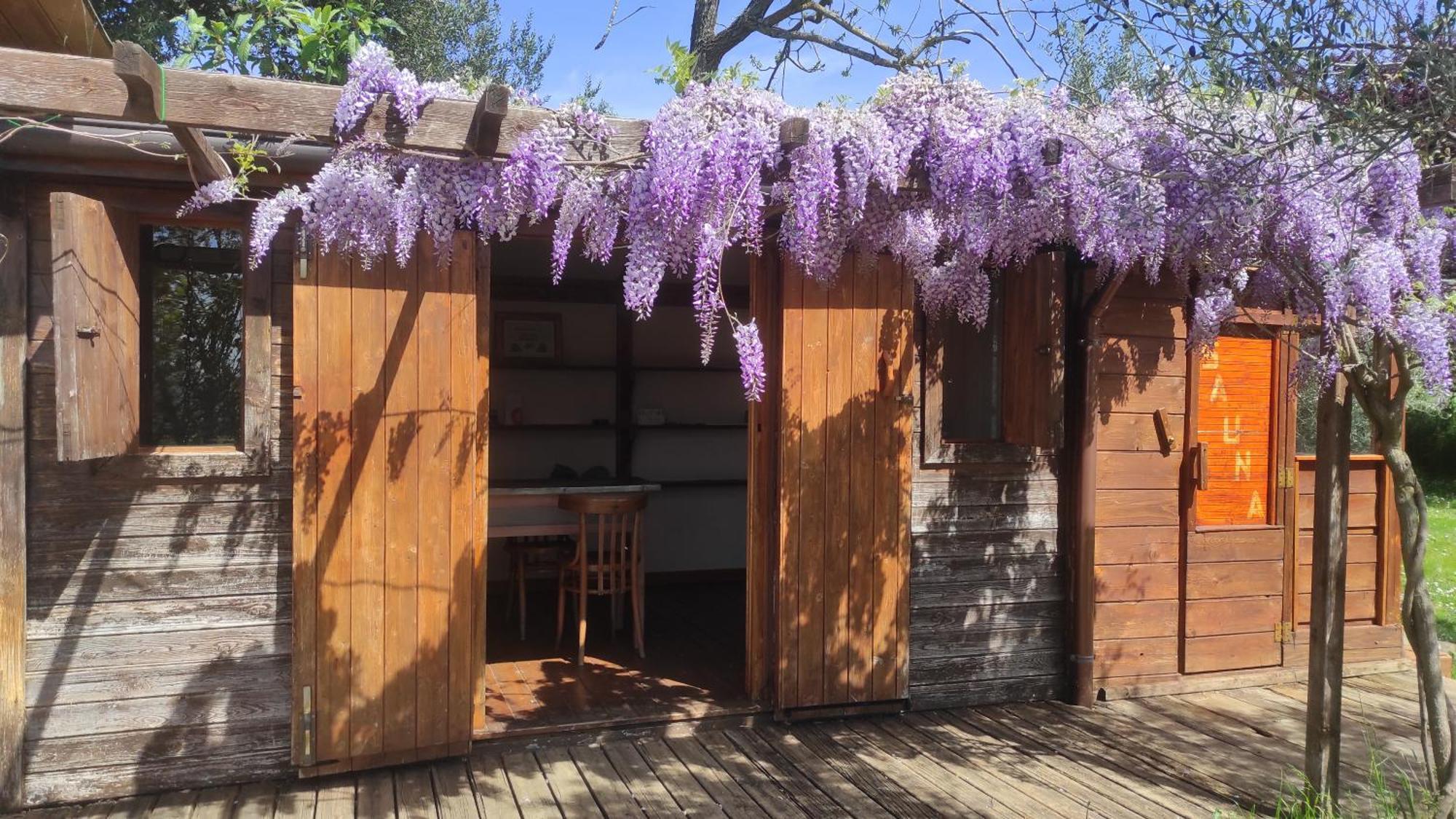 B&B La Casina Di Iris 아레초 외부 사진